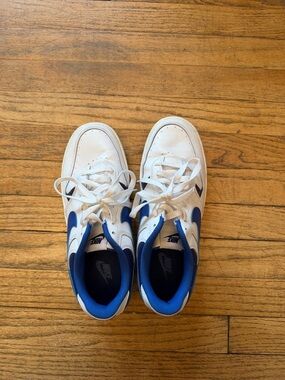 Nike Gamma Women’s White and Royal Low-Top Sneakers